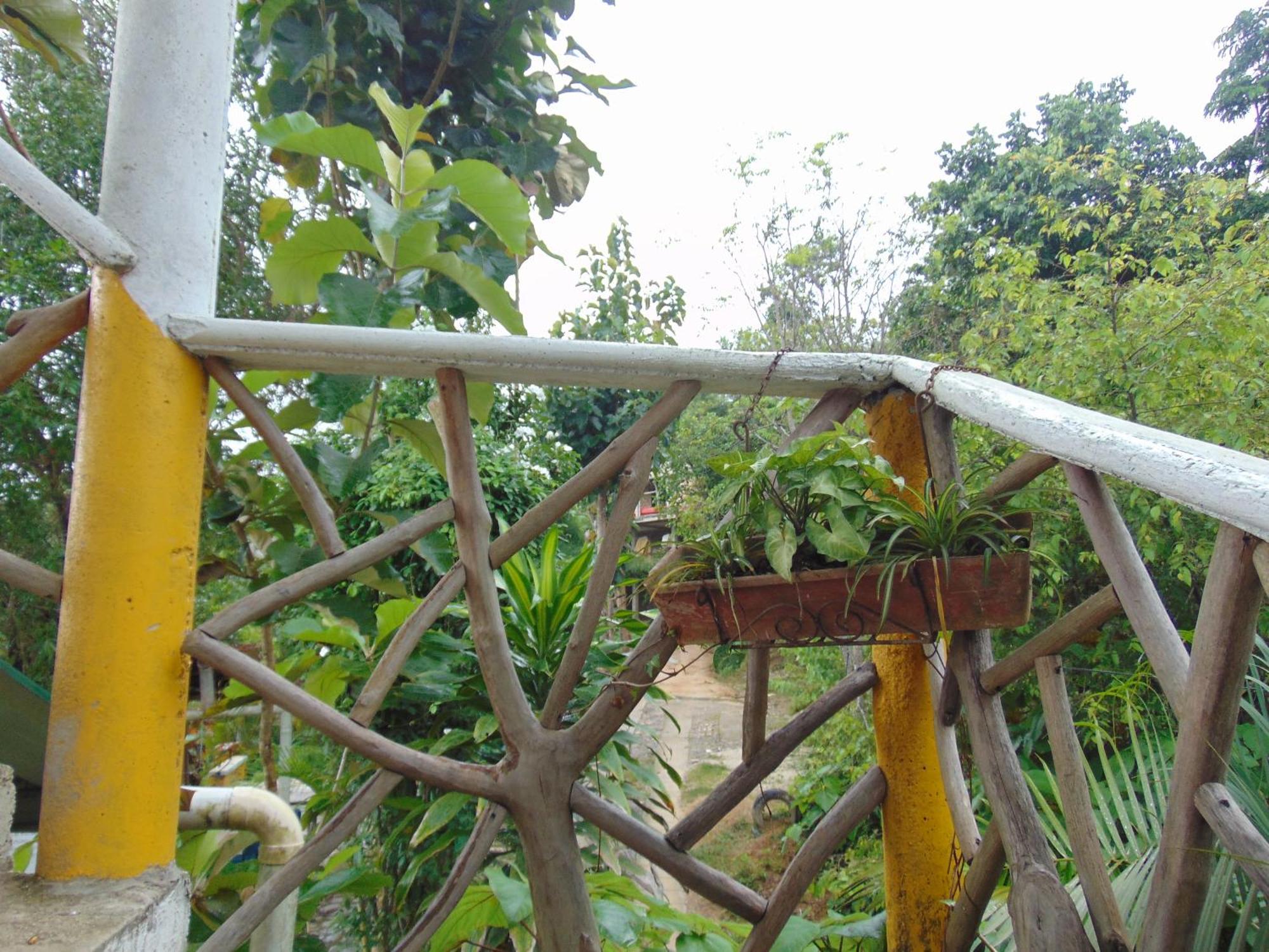 Dunarinka Minca Exterior foto